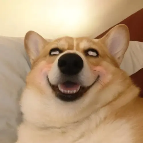 vtKVSQ thumbnail